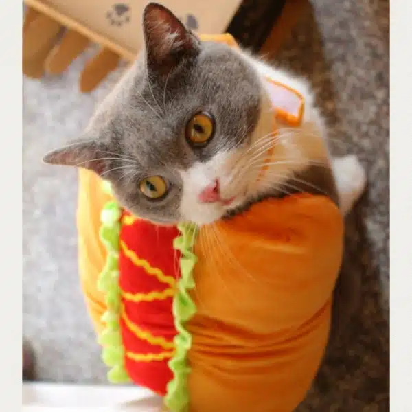 Costume chat amusant en forme de sandwich confortable porté par un chat sur un tapis