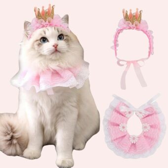 Costume couronne de princesse pour chat porté par un chat à la mode