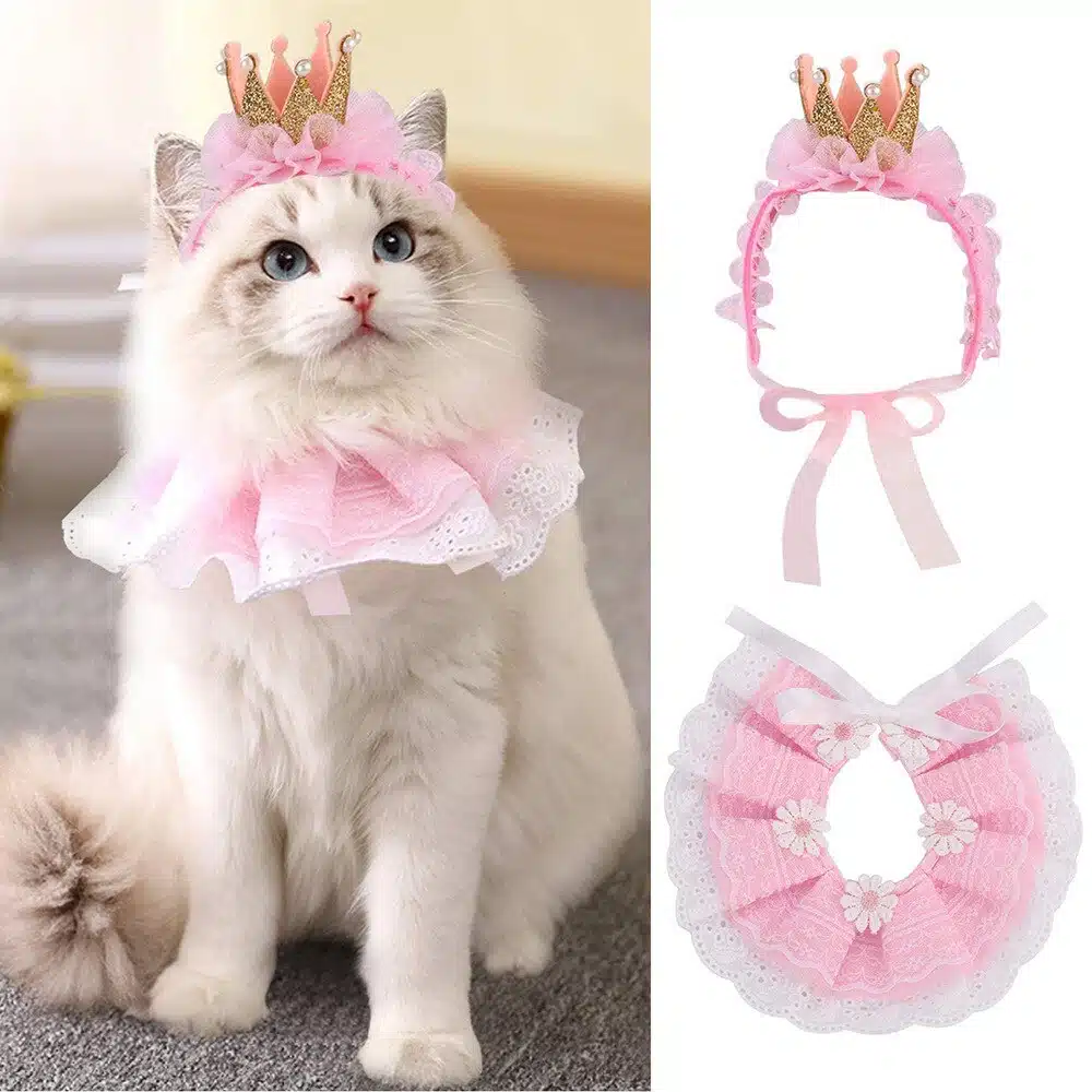 Costume couronne de princesse pour chat porté par un chat à la mode