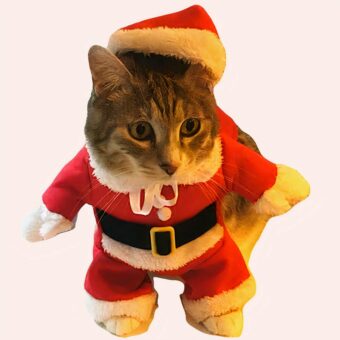 Costume de Père Noël pour chat à la mode, super qualité