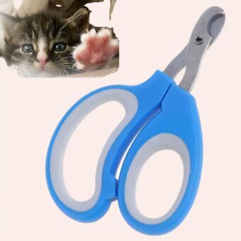 Coupe griffe en acier inoxydable pour chat bleue très bonne qualité