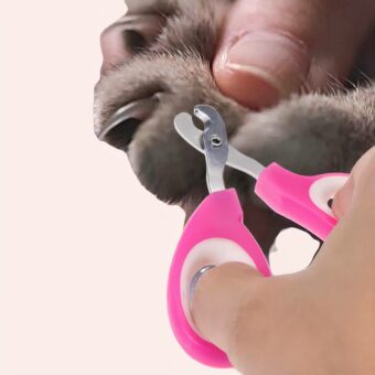 Coupe griffe en PP et acier inoxydable pour chat blanc, très pratique et bonne qualité