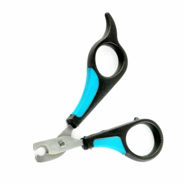 Coupe griffe bleu et noir pour chat