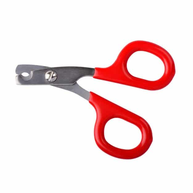 Coupe griffe rouge pour chat