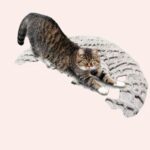 Coussin à motif peau de serpent pour chat gris, confortable à la mode