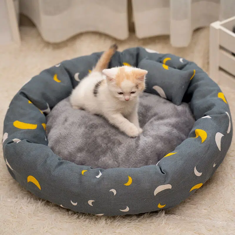 Coussin chat gris à motif lune avec petit oreiller gris très confortable dans une maison