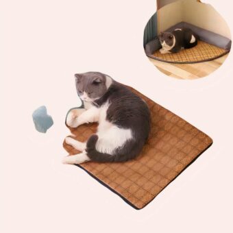 Coussin d'été rafraîchissant pour chat, haute qualité avec un chat au-dessus dans une maison