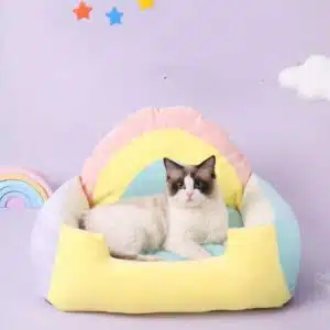 Coussin doux à motif arc-en-ciel pour chat très confortable dans une maison