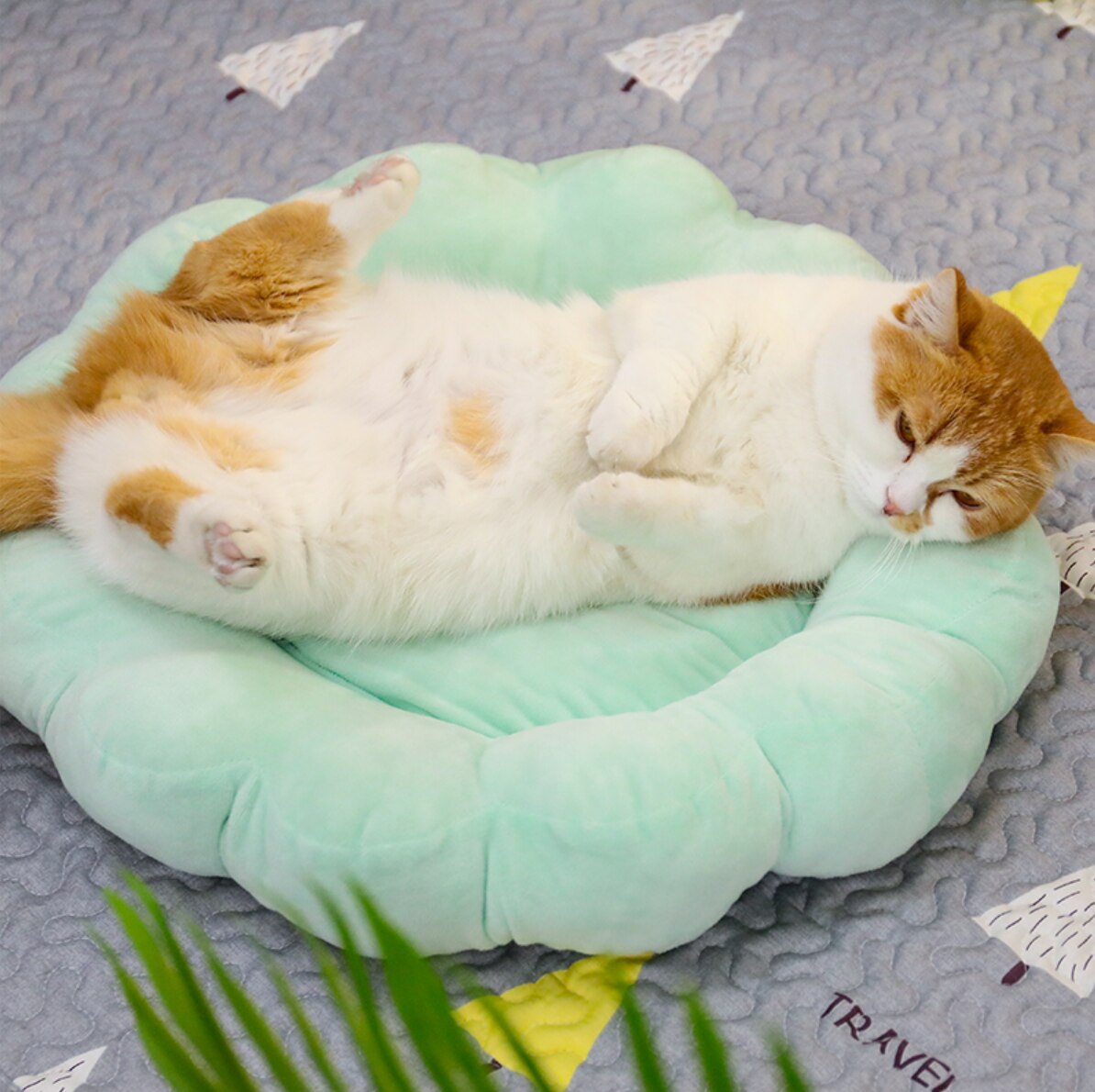 Coussin doux en forme de fleur pour chat très confortable avec un chat qui dort au-dessus dans une maison