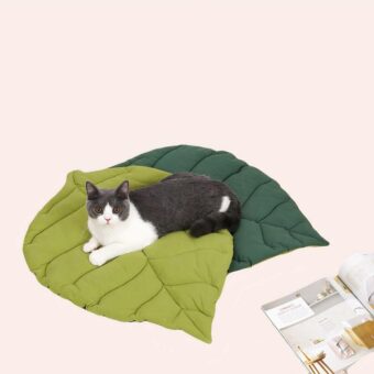 Coussin en forme de feuille pour chat confortable avec un chat au-dessus dans une maison