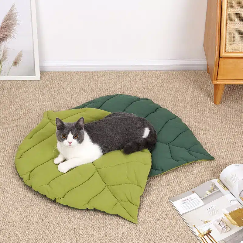 Coussin en forme de feuille pour chat confortable avec un chat au-dessus dans une maison