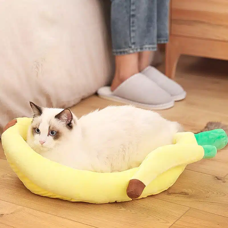 Coussin en peluche en forme de banane pour chat jaune, confortable avec un chat à l'intérieur dans une maison