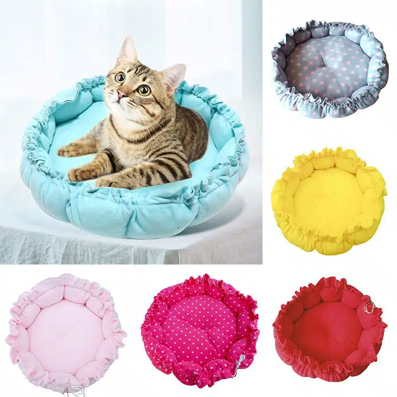 Coussin lavable en forme de citrouille pour chat confortable, plusieurs couleurs