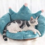 Coussin pour chat en forme de couronne bleu confortable avec un chat au-dessus dans une maison