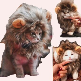 Déguisement bonnet à crinière de lion à la mode portée par un chat