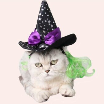 Déguisement chapeau de magicien pour chat noir avec un nœud violet très tendance