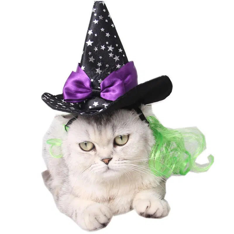 Déguisement chapeau de magicien pour chat noir avec un nœud violet très tendance