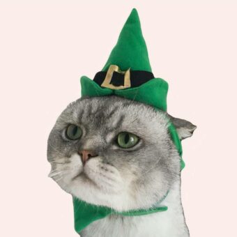 Déguisement chapeau de noel vert pour chat porté par un chat dans une maison
