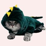 Déguisement chat en forme de capuche dinosaure porté par un chat