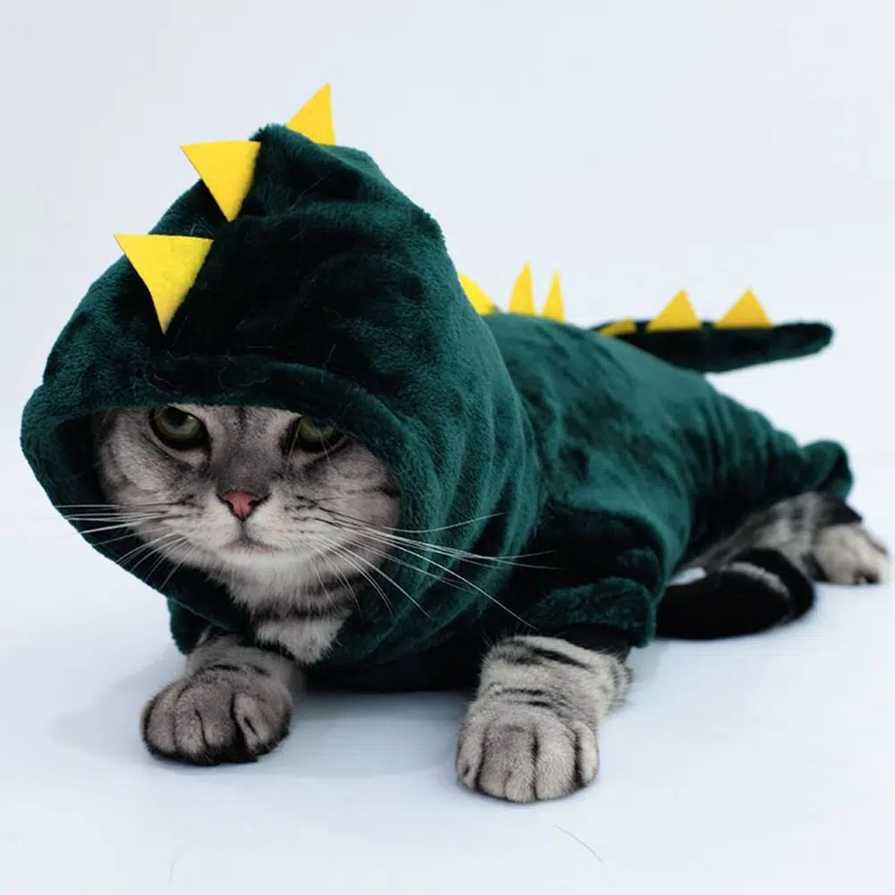 Déguisement chat en forme de capuche dinosaure porté par un chat