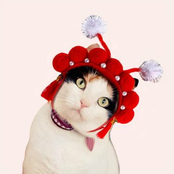 Déguisement chat en forme de casque rouge avec pompon blanc à la mode portée par un chat mignonne