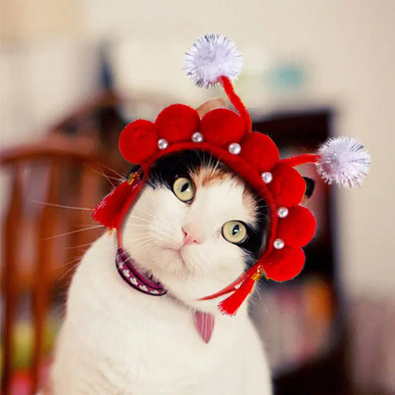 Déguisement chat en forme de casque rouge avec pompon blanc à la mode portée par un chat mignonne