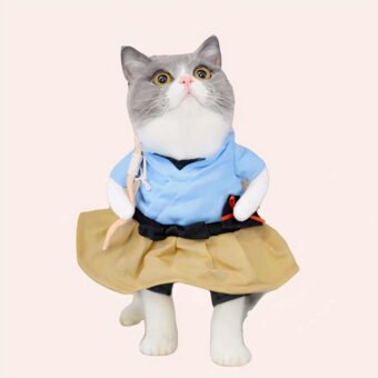 Déguisement cosplay robe deux tons pour chat porté par un chat sur un tapis dansune maison