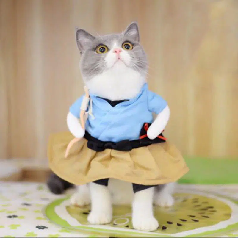 Déguisement cosplay robe deux tons pour chat porté par un chat sur un tapis dansune maison