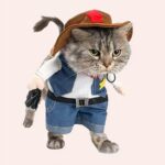 Déguisement cowboy pour chat porté par un chat à la mode très haute qualité