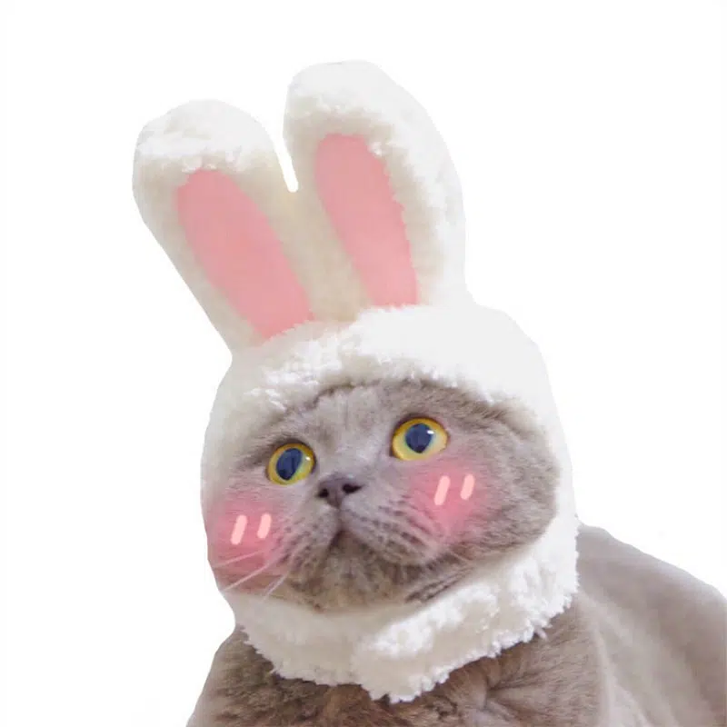 Déguisement tête de lapin pour chat porté par un chat à la mode