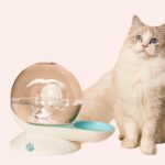 Distributeur d'eau en forme d'escargot pour chat à la mode