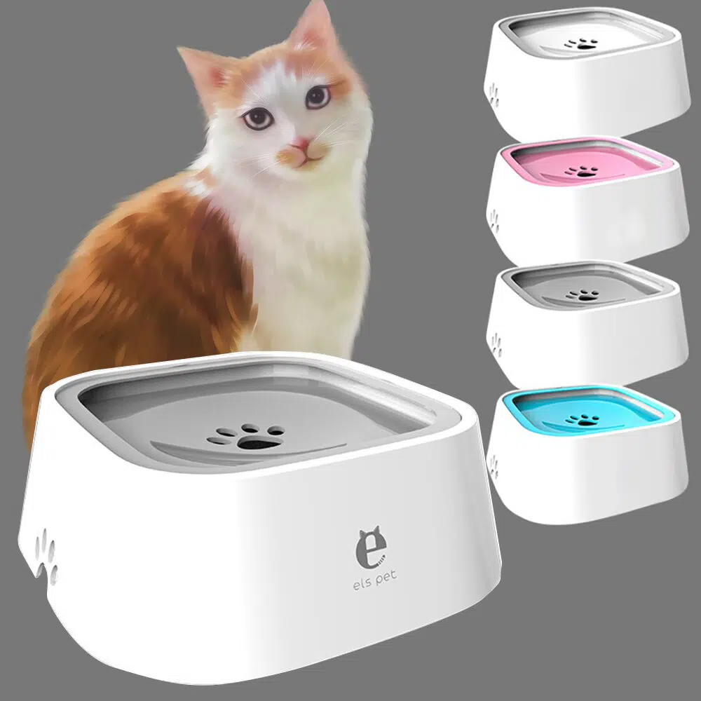 Distributeur d'eau flottant en plastique pour chat super qualité, plusieurs couleurs