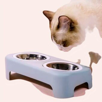 Double bol compatible eau et nourriture pour chat tendance avec un chat