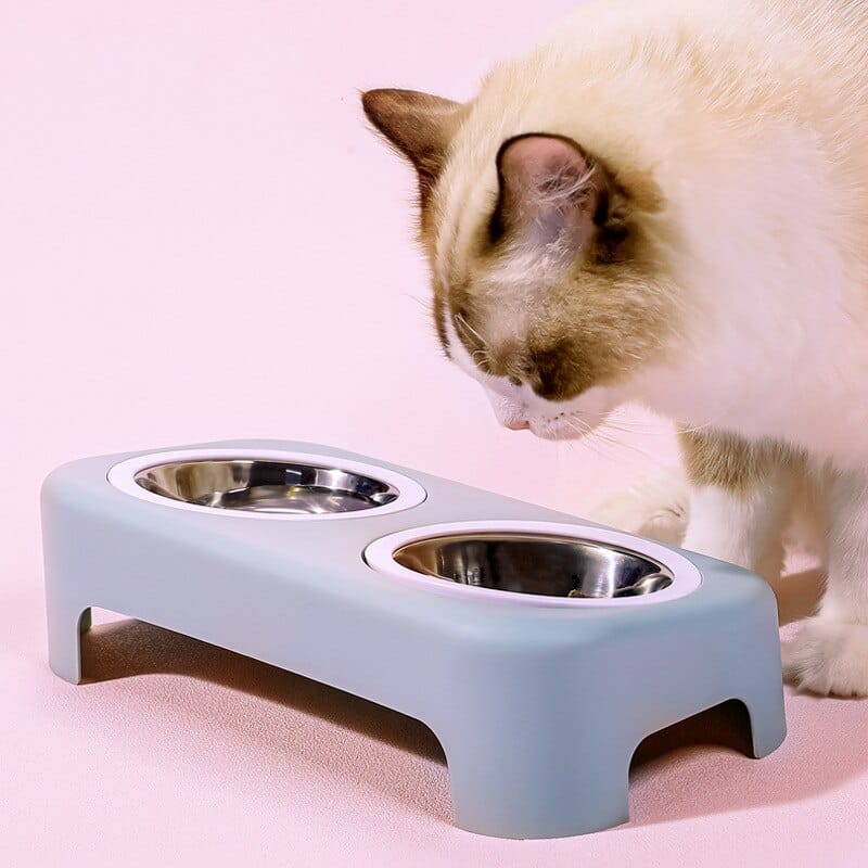 Double bol compatible eau et nourriture pour chat tendance avec un chat
