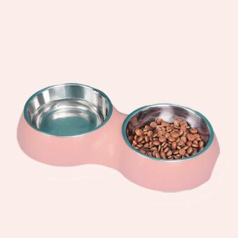 Double bol en acier inoxydable pour chat rose dans une maison