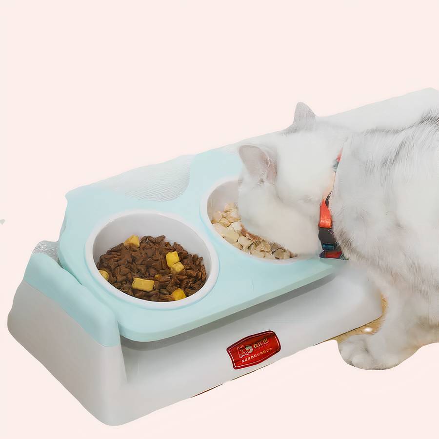 10178-vdxkpy.jpg Double bol incliné et antidérapant en plastique gris et bleu à la mode dans une maison