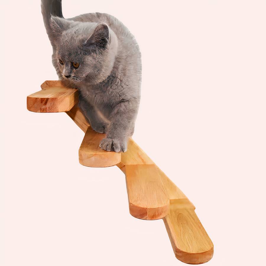 10883-fey3zl.jpg Échelle d'escalade murale en bois pour chat accrocher au mur