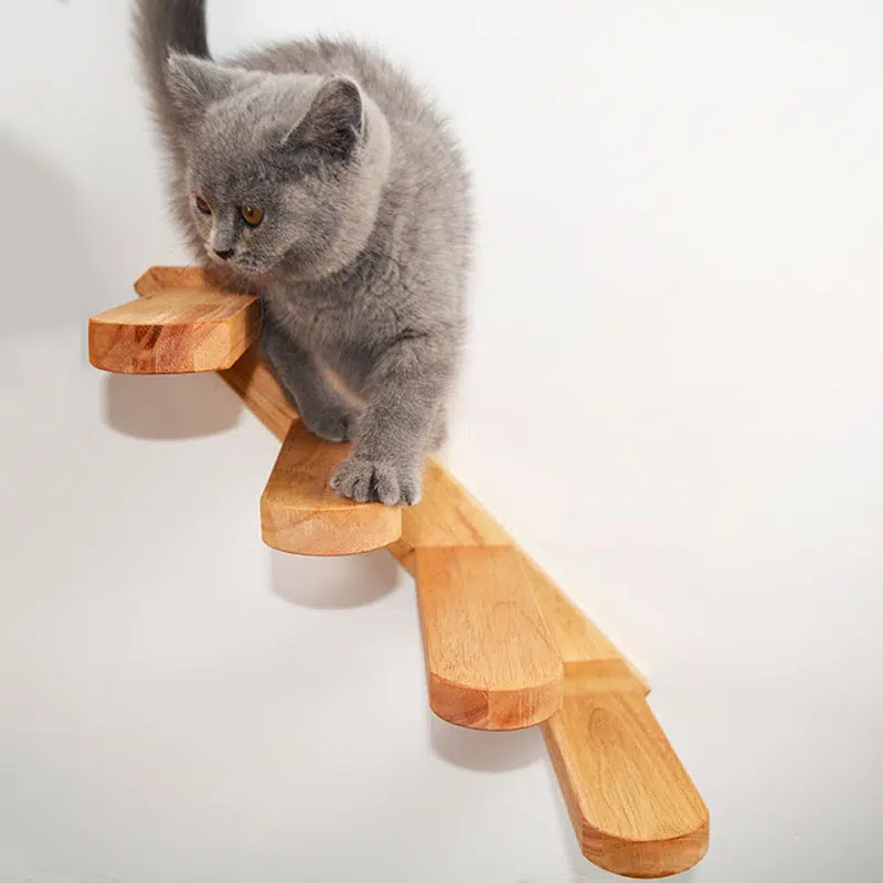 Échelle d'escalade murale en bois pour chat accrocher au mur
