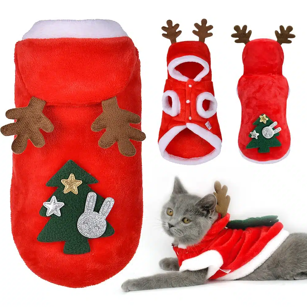 Ensemble de vêtements de Noël pour chat confortable porté par un chat