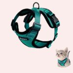 Ensemble harnais et laisse pour chat à plusieurs couleurs très tendance