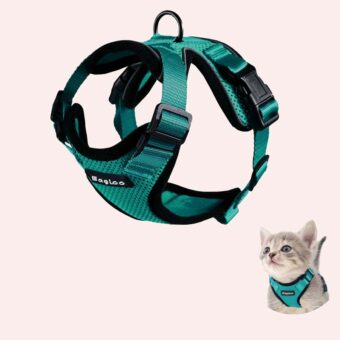 Ensemble harnais et laisse pour chat à plusieurs couleurs très tendance