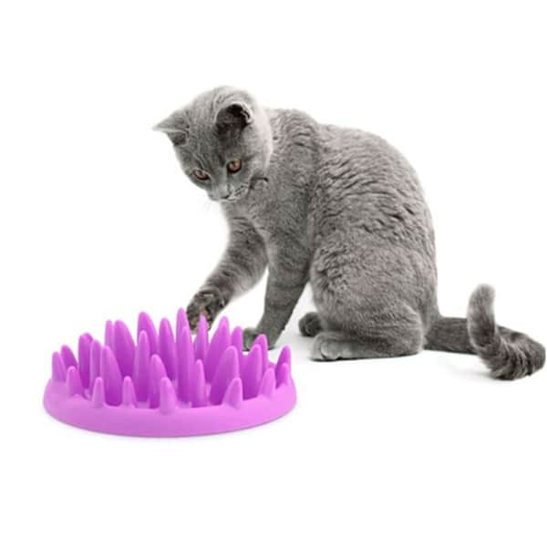 Gamelle anti glouton antidérapant plastique pour chat très confortable de couleurs violet