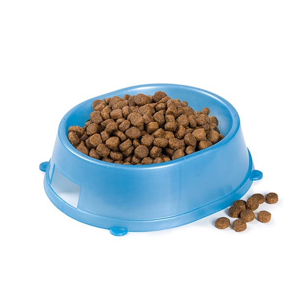 Gamelle anti-glouton bleue