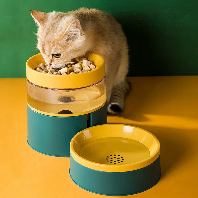 Gamelle pour chat avec distributeur d'eau tendance vert et jaune dans une maison