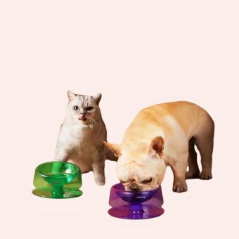 Gamelle réglable et transparente pour chat plusieurs disponibles