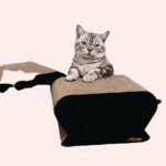 Grattoir carré 2 en 1 pour chat très confortable dans une maison