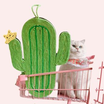 Griffoir en forme de cactus pour chat vert et jaune dans un panier avec un chat