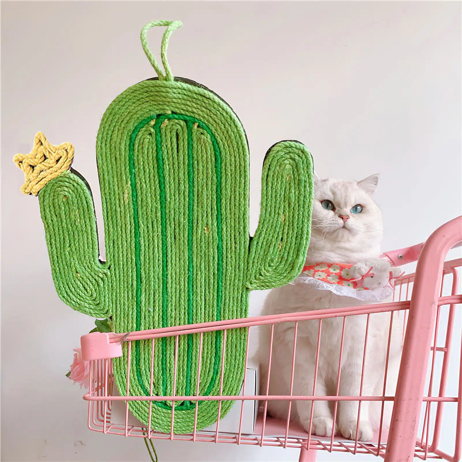 Griffoir en forme de cactus pour chat vert et jaune dans un panier avec un chat