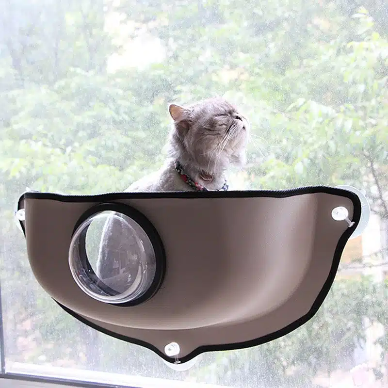 Hamac créatif avec fenêtre pour chat gris accroché sur une vitre avec un chat à l'intérieur