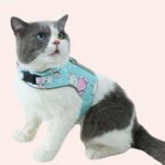 Harnais chat réglable à motif dessin animé porté par un chat à la mode